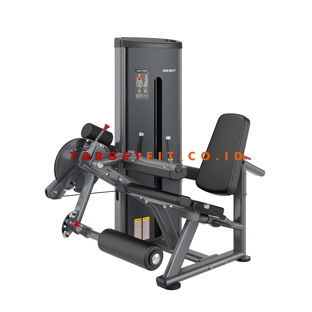 Insight Leg Curl and Leg Extension DA037