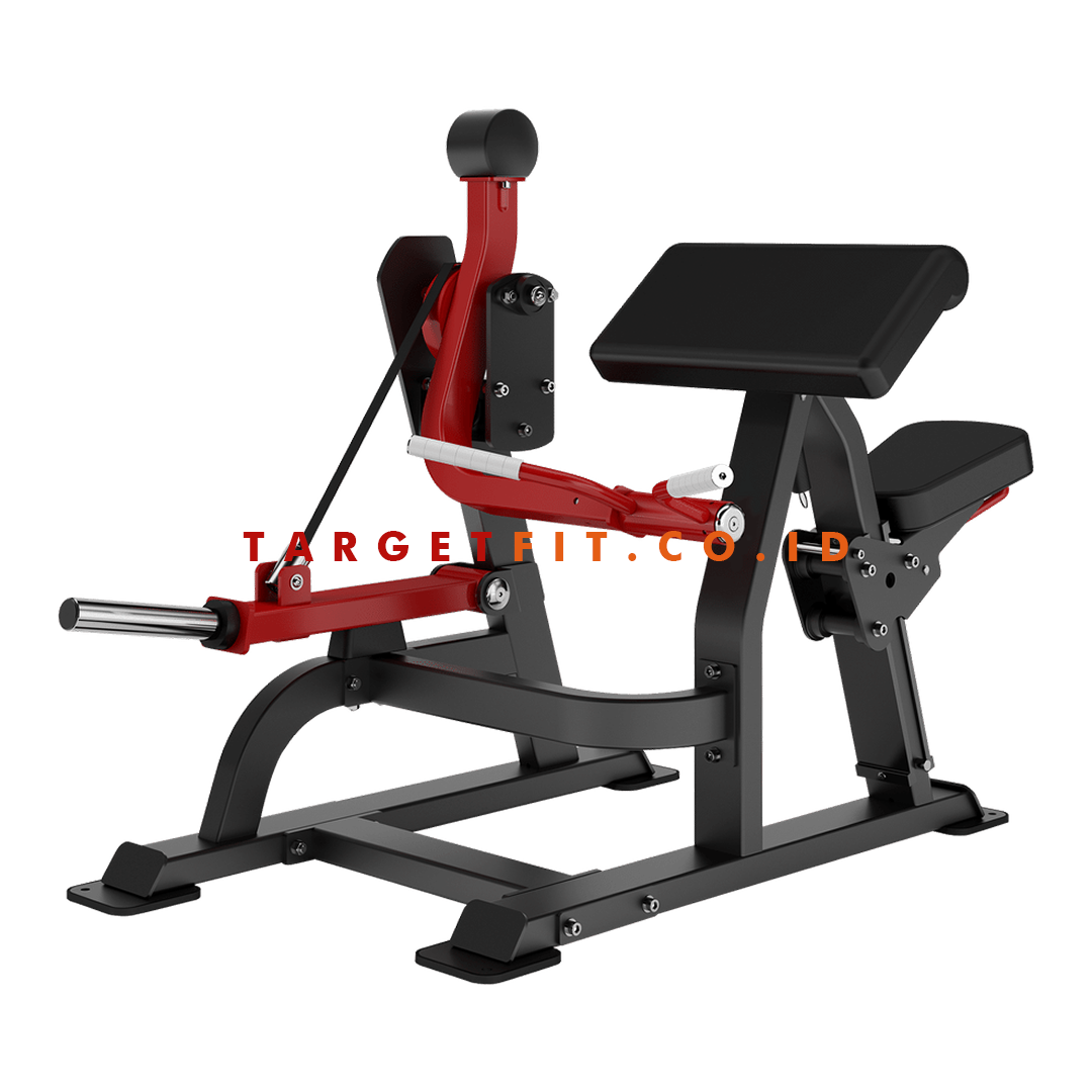 Insight Biceps Curl DH021
